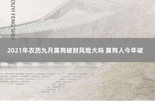 2021年农历九月属狗破财风险大吗 属狗人今年破财月份