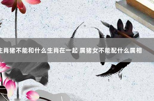 生肖猪不能和什么生肖在一起 属猪女不能配什么属相