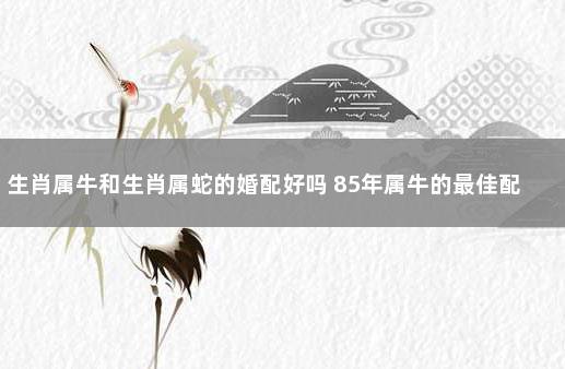 生肖属牛和生肖属蛇的婚配好吗 85年属牛的最佳配偶