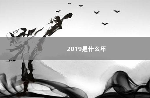 2019是什么年