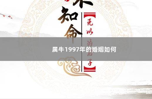 属牛1997年的婚姻如何