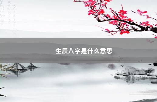 生辰八字是什么意思