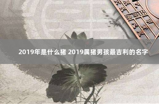 2019年是什么猪 2019属猪男孩最吉利的名字