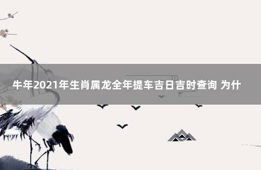 牛年2021年生肖属龙全年提车吉日吉时查询 为什么不可以下午提车