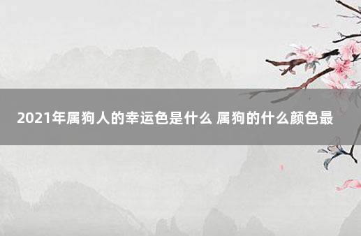 2021年属狗人的幸运色是什么 属狗的什么颜色最吉利