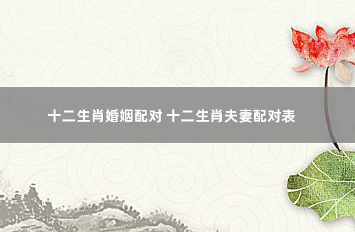 十二生肖婚姻配对 十二生肖夫妻配对表