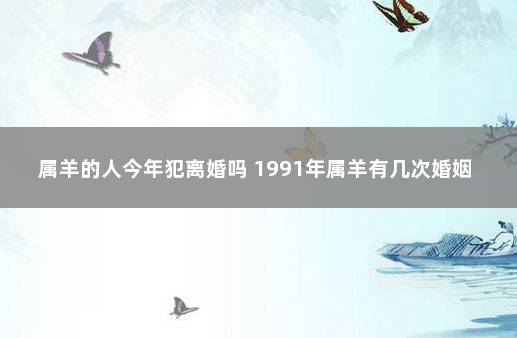 属羊的人今年犯离婚吗 1991年属羊有几次婚姻