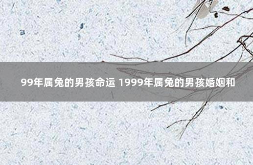 99年属兔的男孩命运 1999年属兔的男孩婚姻和命运