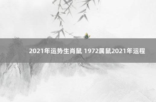 2021年运势生肖鼠 1972属鼠2021年运程