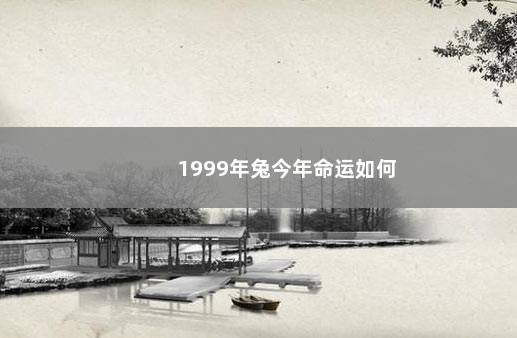 1999年兔今年命运如何