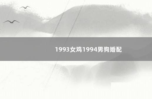 1993女鸡1994男狗婚配