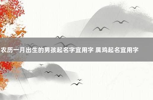 农历一月出生的男孩起名字宜用字 属鸡起名宜用字