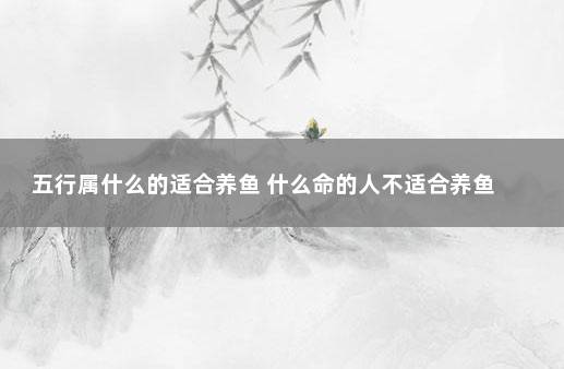 五行属什么的适合养鱼 什么命的人不适合养鱼