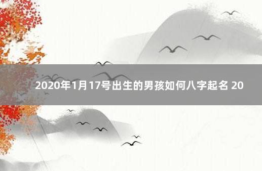 2020年1月17号出生的男孩如何八字起名 2017年男宝宝取名大全免费