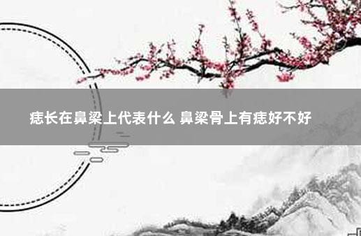 痣长在鼻梁上代表什么 鼻梁骨上有痣好不好