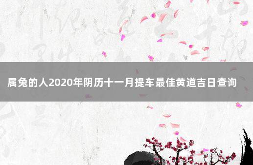 属兔的人2020年阴历十一月提车最佳黄道吉日查询 新车提车吉日吉时查询