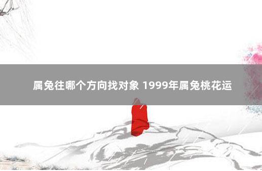 属兔往哪个方向找对象 1999年属兔桃花运