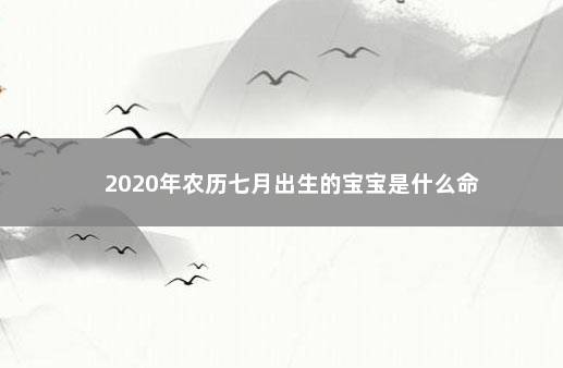 2020年农历七月出生的宝宝是什么命