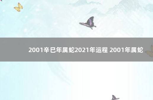 2001辛巳年属蛇2021年运程 2001年属蛇的2021年运势如何