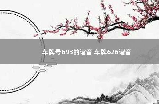 车牌号693的谐音 车牌626谐音