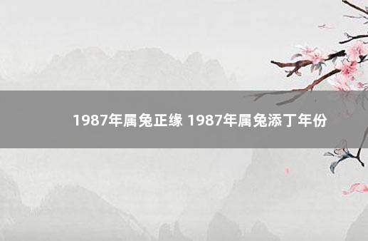 1987年属兔正缘 1987年属兔添丁年份