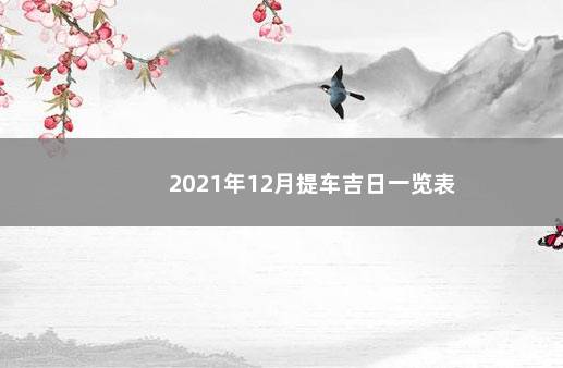 2021年12月提车吉日一览表