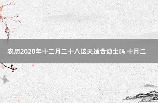 农历2020年十二月二十八这天适合动土吗 十月二十二能动土吗