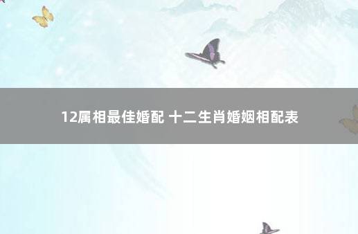 12属相最佳婚配 十二生肖婚姻相配表