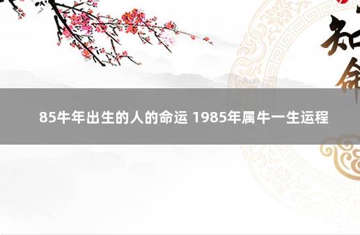 85牛年出生的人的命运 1985年属牛一生运程