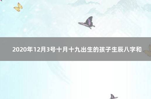 2020年12月3号十月十九出生的孩子生辰八字和性格命运解析 1987年12月9日是什么命