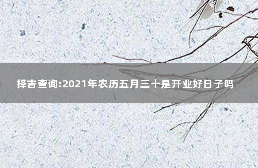 择吉查询:2021年农历五月三十是开业好日子吗 农历老黄历择吉