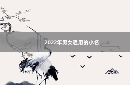 2022年男女通用的小名