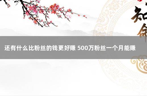 还有什么比粉丝的钱更好赚 500万粉丝一个月能赚多少钱