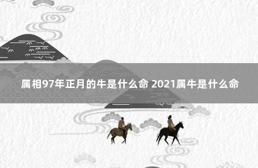 属相97年正月的牛是什么命 2021属牛是什么命