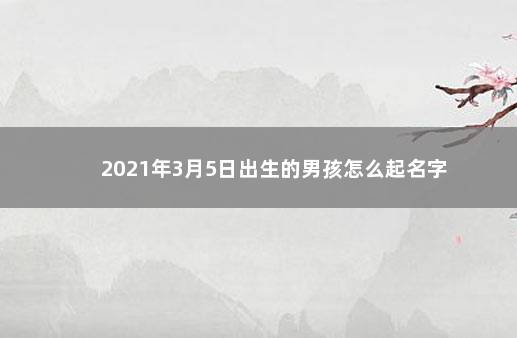 2021年3月5日出生的男孩怎么起名字