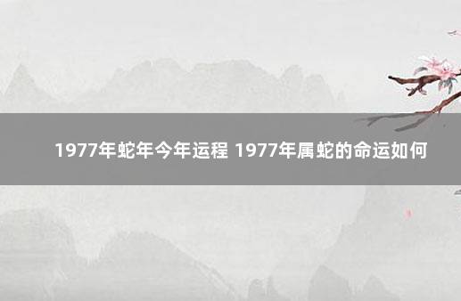 1977年蛇年今年运程 1977年属蛇的命运如何