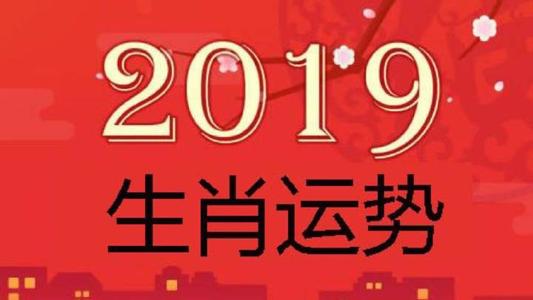 2019运势抢先看生肖鼠动荡求稳之年 2019社会动荡