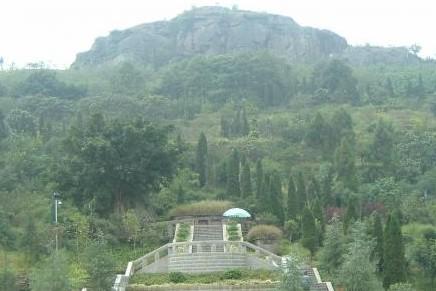 如何看阳宅风水宝地 屋后有坟风水旺