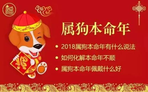 生肖狗男命2018年人缘运势 十二生肖运程