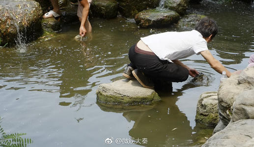 梦见赤脚在河里摸河蚌 梦见摸河蚌