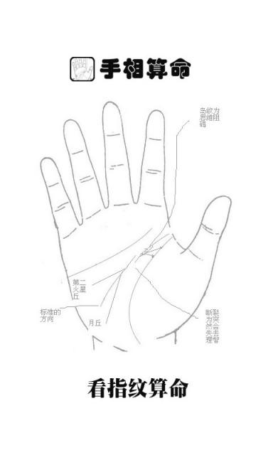 手相分析你会怎么支配金钱 手相怎样看