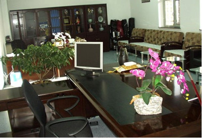 办公室植物摆设风水布局 办公室摆设