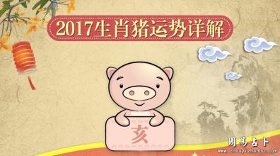 2017年属猪人12月运程解析 属猪2017年运势