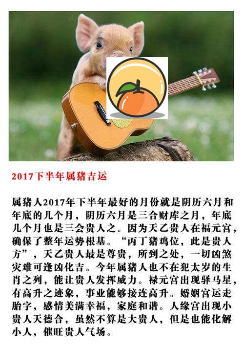 2017年生肖猪五月运势 属猪人五月运势怎么样