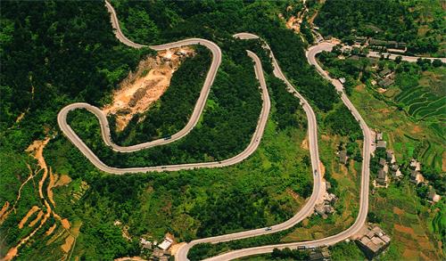 梦见蛇挡道路是什么意思 梦见蛇挡我路