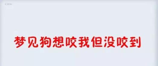 周公解梦梦见狗咬,梦见自己被狗咬 周公解梦梦见狗咬自己