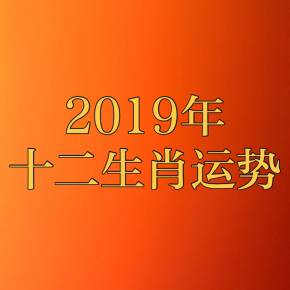 2019年运势最佳的生肖女 2019年生肖下半年运势