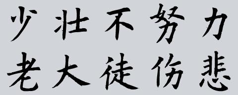 不但做事认真而且努力上进的生肖 努力做事认真做人