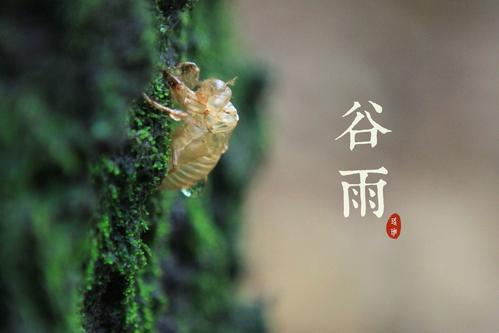 谷雨时节赏花旺桃花 赏花时节