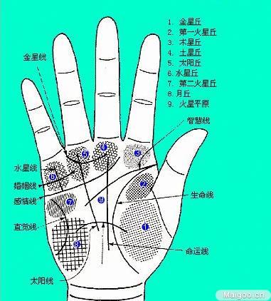 从手相来看你的事业运如何 事业运手相